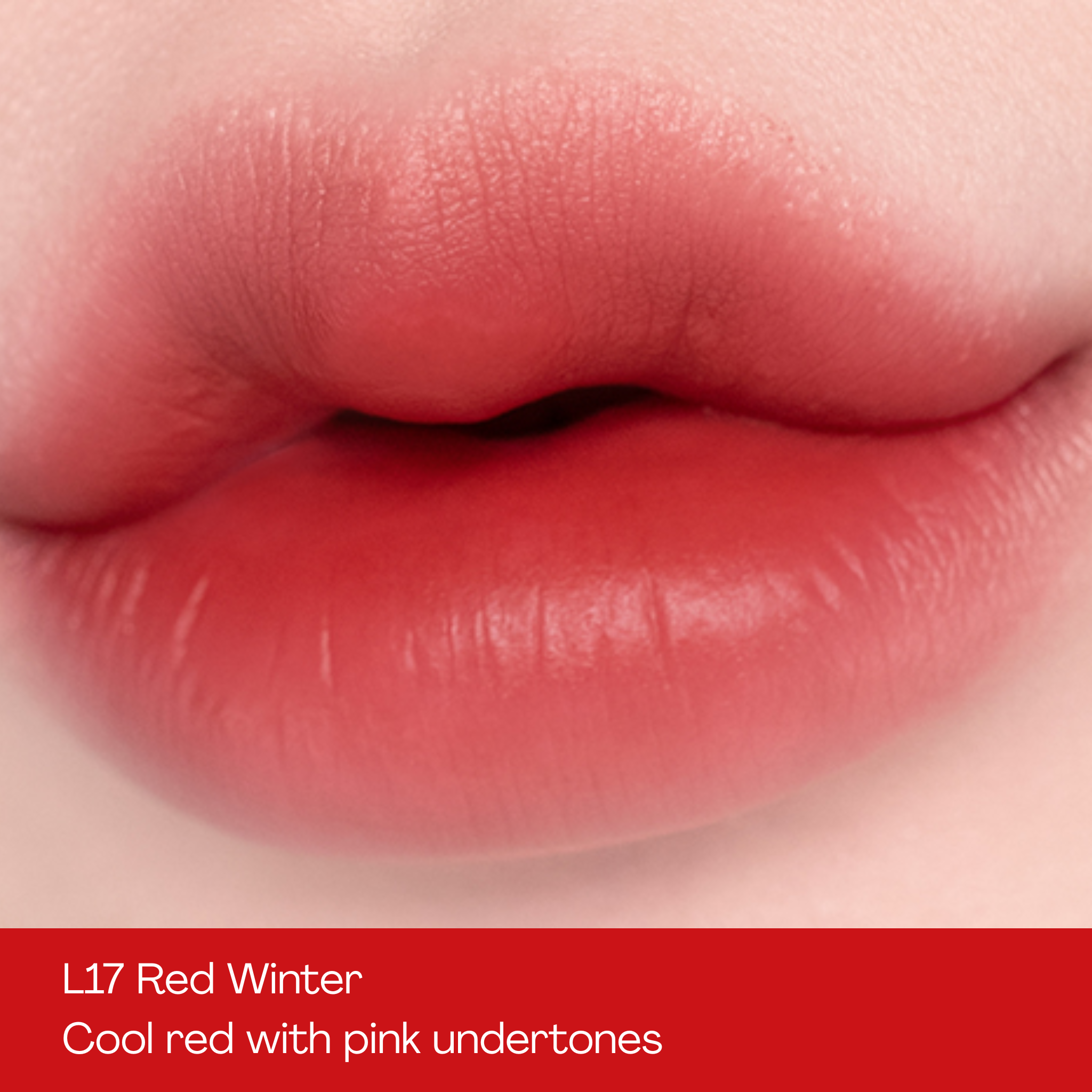 MOOLDA Tattoo Fixing Matte Lip Tint