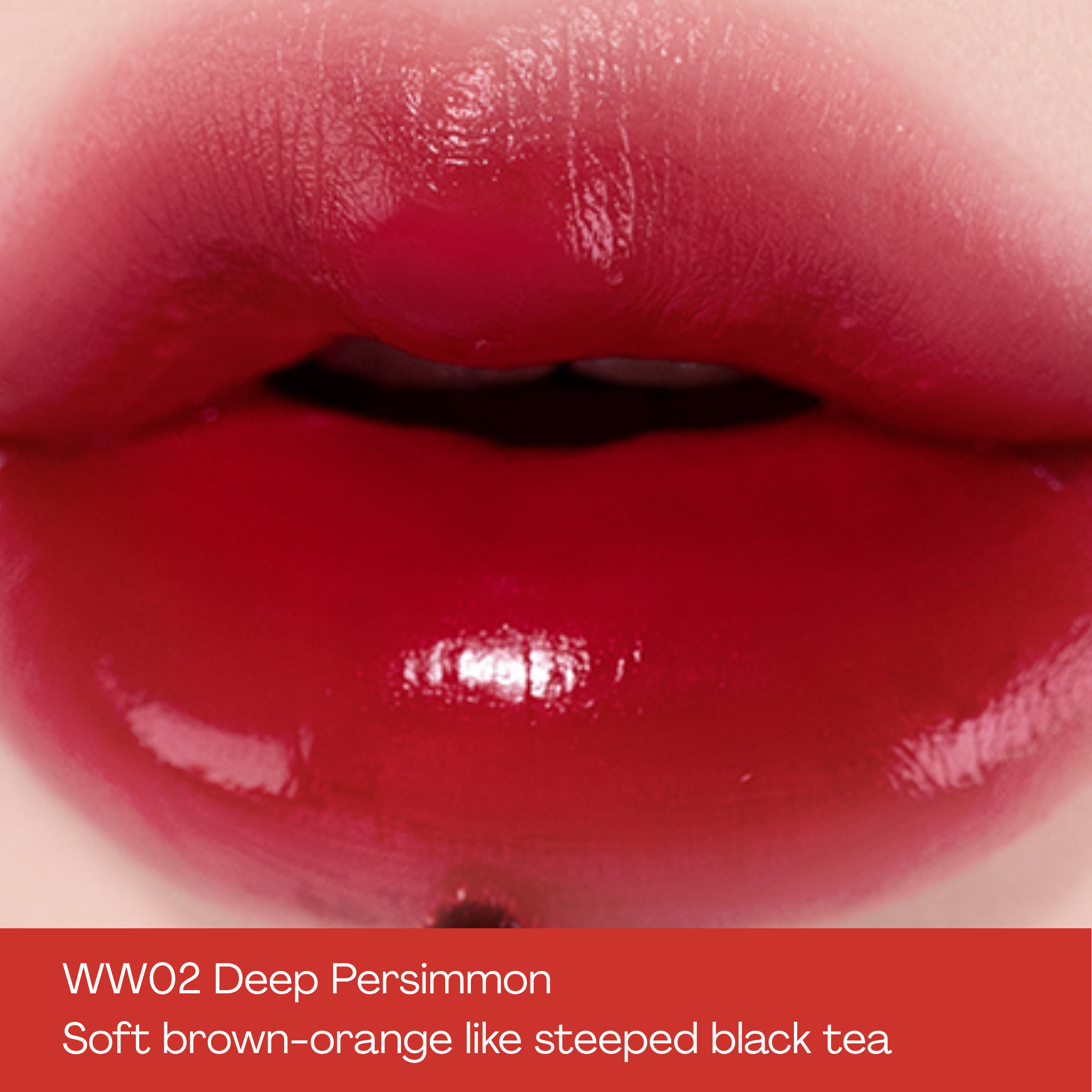 MOOLDA Tattoo Fixing Lip Water Tint