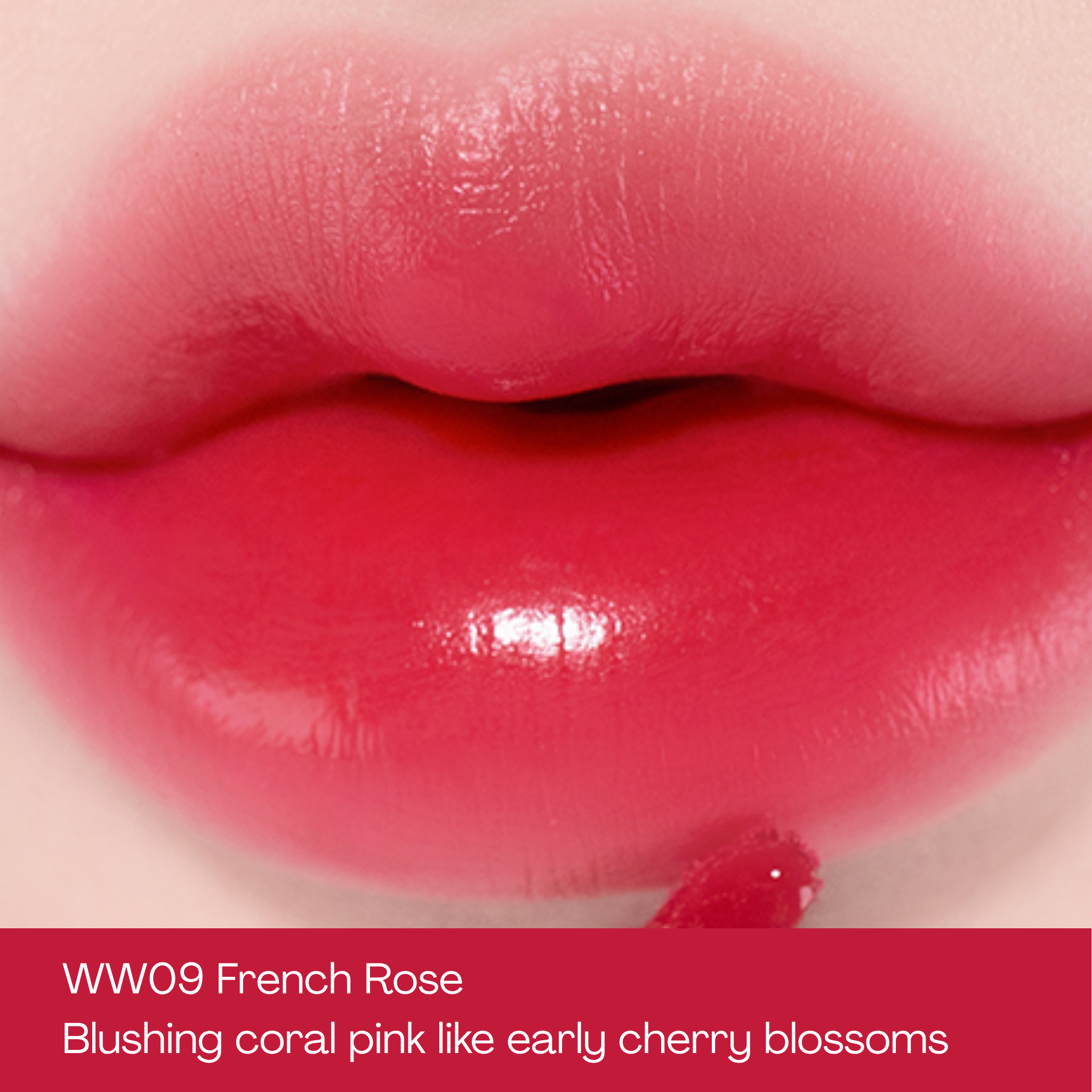 MOOLDA Tattoo Fixing Lip Water Tint